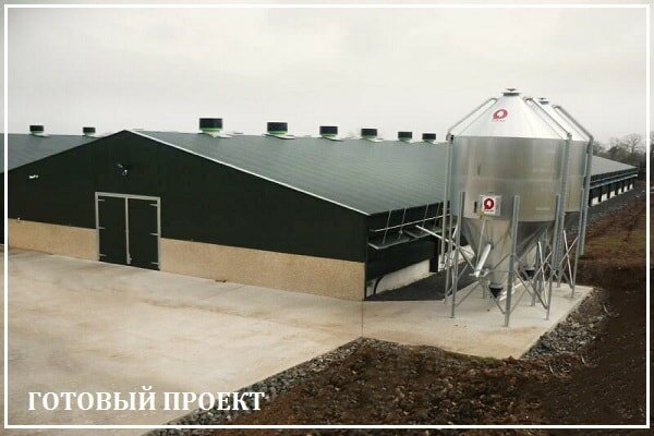 Этапы возведения птицефабрики от завода ВелесТент-Озр